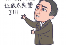 无棣为什么选择专业追讨公司来处理您的债务纠纷？