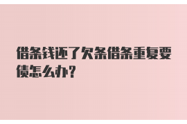 无棣专业讨债公司有哪些核心服务？